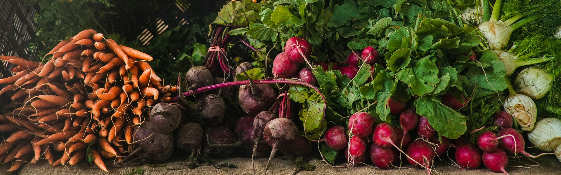 Prebiotics: fuel for probiotics - the good bacteria in your gut