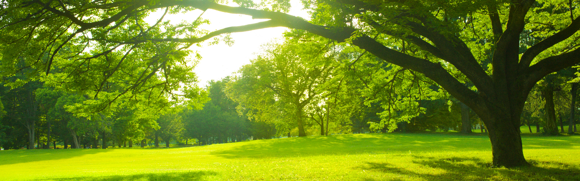 Understanding depression and the natural solutions