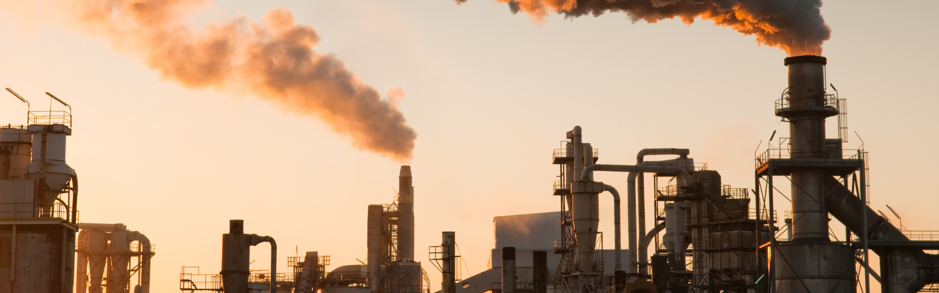 Why you can’t live without glutathione